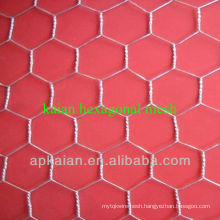 hot dipped galvanized hexagonal wire mesh